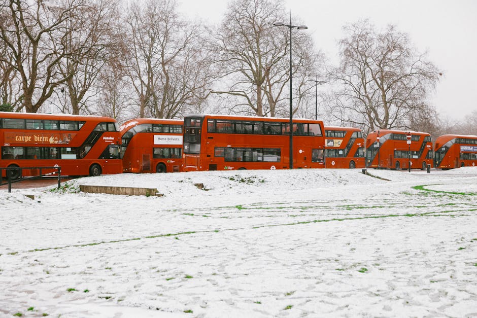 winterreis verenigd koninkrijk januari belgen - illustratie 5