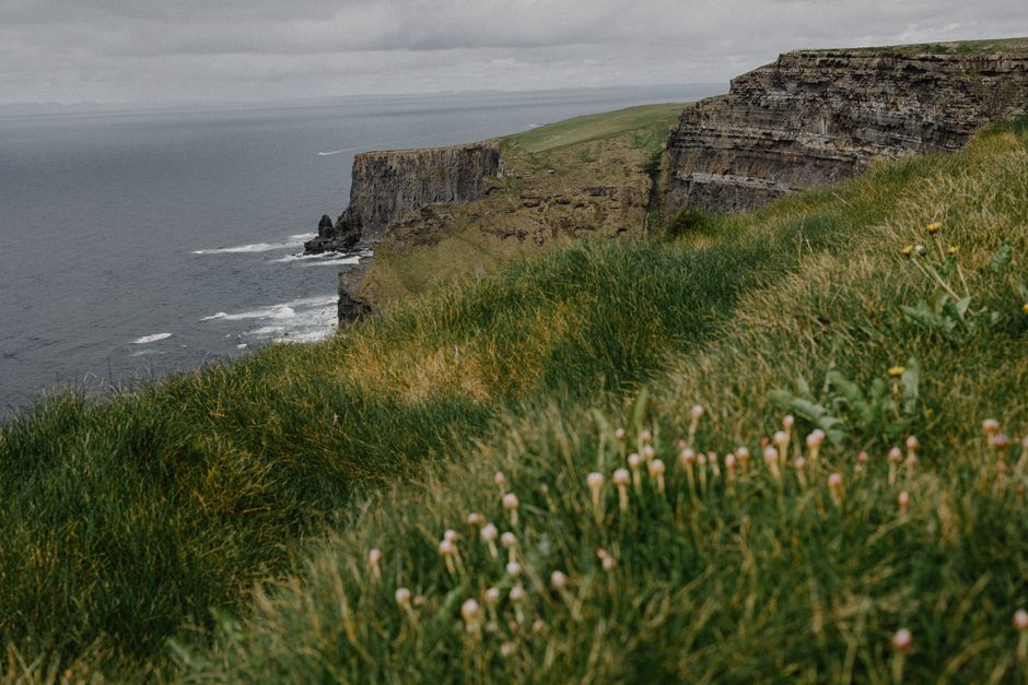 De basaltzuilen van de Giant's Causeway aan de kust van Noord-Ierland in het Verenigd Koninkrijk